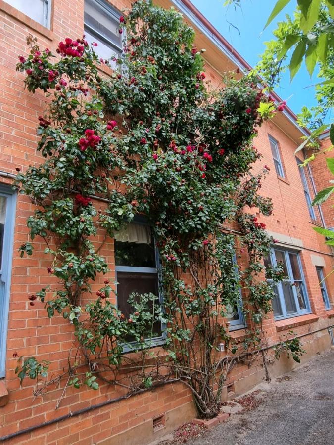 La Cochon Rose Motel Saint Arnaud Exterior foto